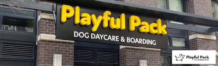 high-quality dog daycare